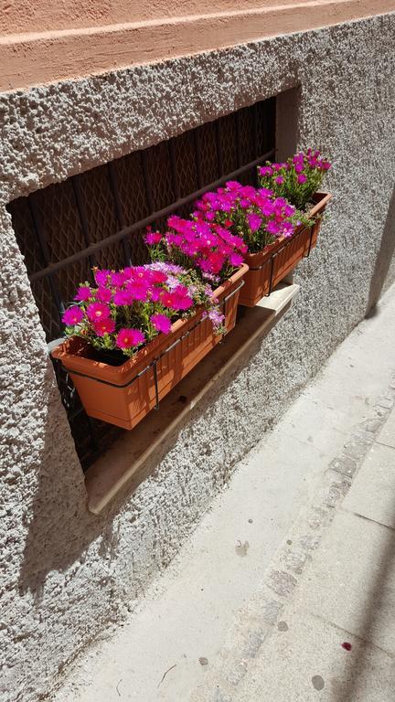 Al Sale Bed & Breakfast Cagliari Exterior photo